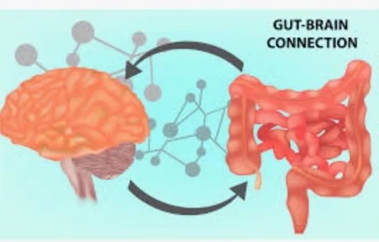 Your Gut Controlling Your Mind? Exploring the Gut-Brain Connection”