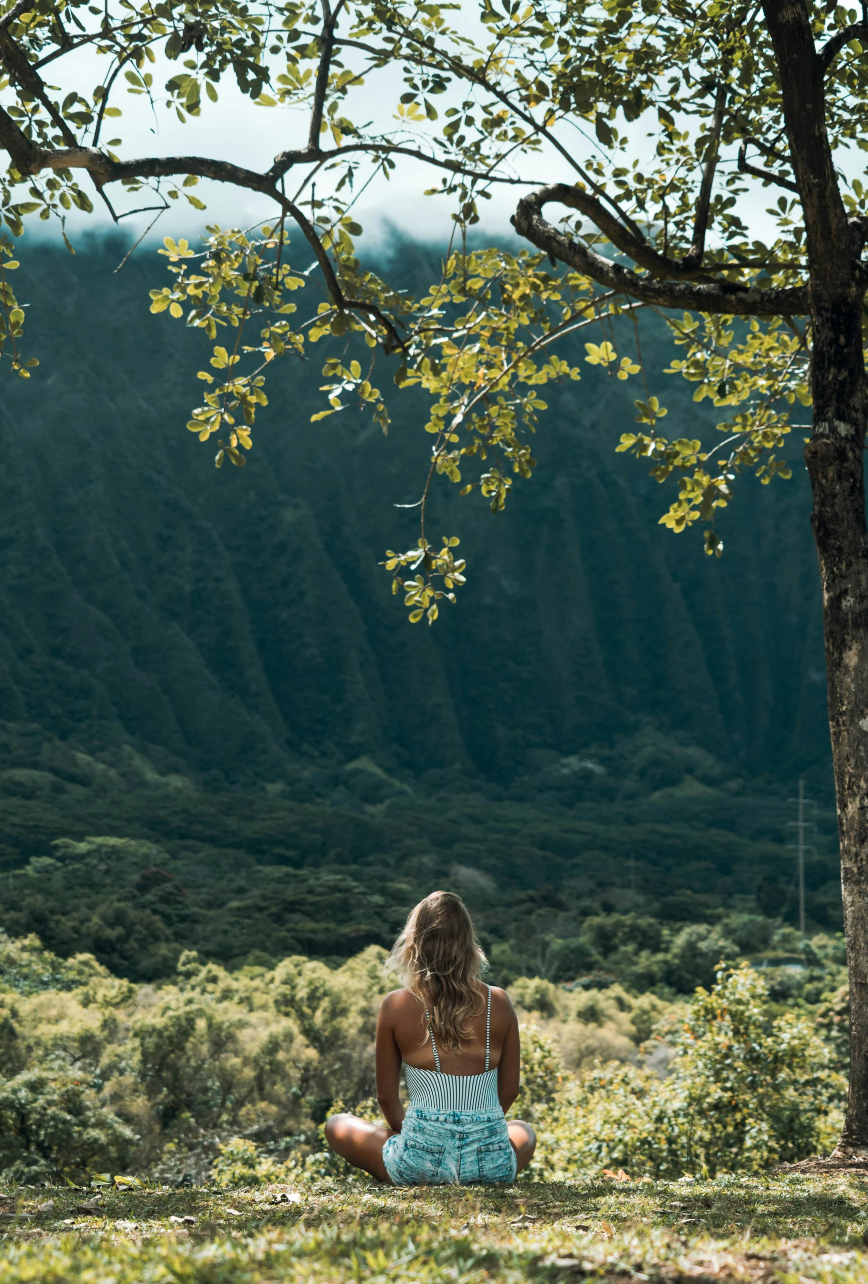 How to Take a Digital Detox and Clear Your Mind in 7 Simple Steps